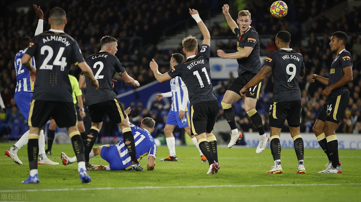 尼斯主场失利，保级前景蒙上阴影的简单介绍