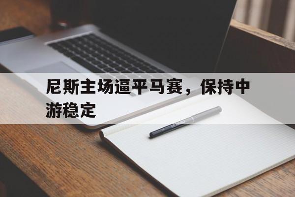 尼斯主场逼平马赛，保持中游稳定的简单介绍